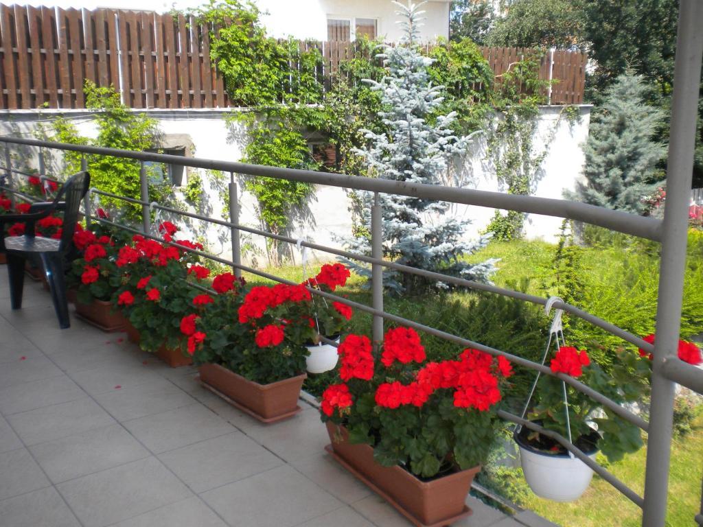 Pension Cluj Exterior photo